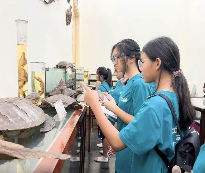 HỌC TỪ THIÊN NHIÊN, LỚN LÊN QUA TRẢI NGHIỆM - DẤU ẤN CỦA KHỐI 7 TẠI BẢO TÀNG SINH HỌC