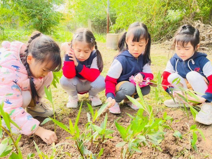 VUI CHƠI, SÁNG TẠO, HỌC HỎI CÙNG HỌC SINH KHỐI 1 TẠI NÔNG TRẠI BÁ TÂN